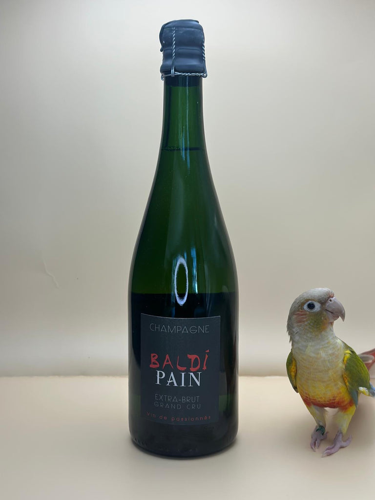 Champagne Baldi Pain Extra-Brut Grand Cru bottle with parrot — grower Champagne