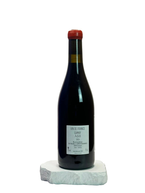Damien Guadagnolo Gamay 2023