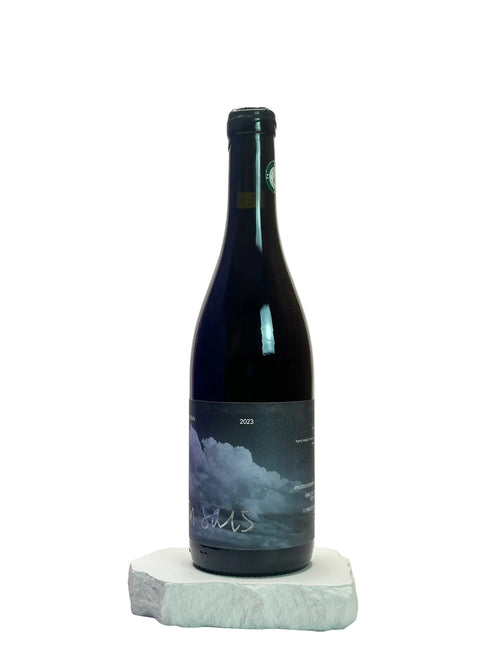 Dark wine bottle with label on a white surface against a light gray background