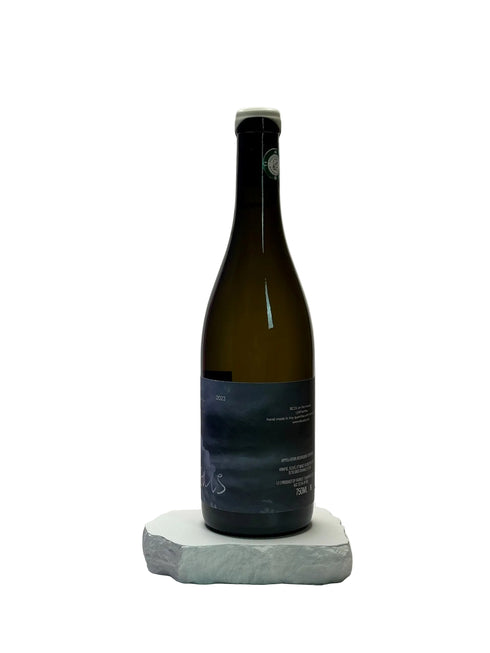 Si Tu Sais Bourgogne Chardonnay 2023