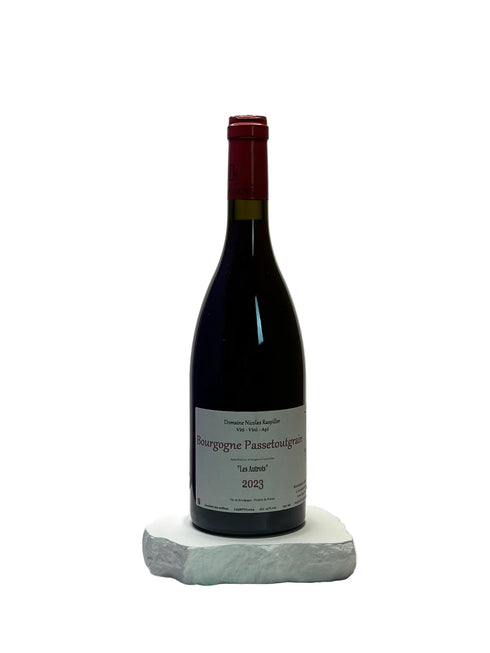 Red wine bottle on a white surface with a neutral background