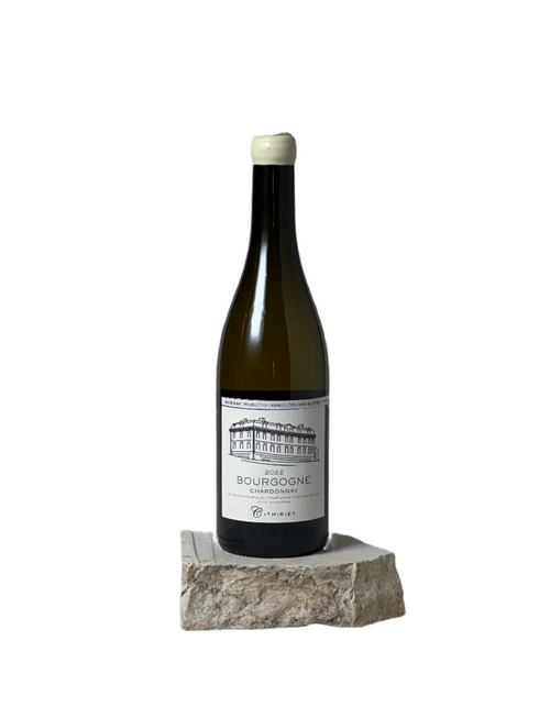 2022 Domaine Camille Thiriet, Cuvee Confidentielle, Bourgogne blanc by Domaine Camille Thiriet - bottle photo